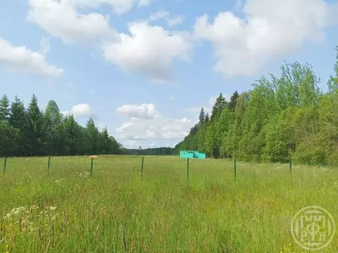 Участок в Ленинградская область, Выборгский район, Полянское с/пос, ...