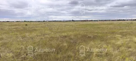 Участок в Волгоградская область, Волгоград Село Песчанка тер., ул. ...