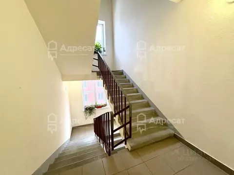 2-к кв. Волгоградская область, Волгоград ул. Имени Профессора ...