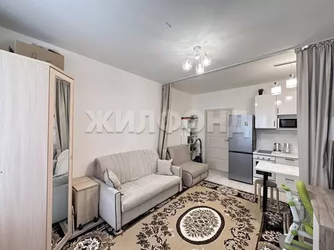 Студия Санкт-Петербург просп. Ветеранов, 196 (24.6 м)