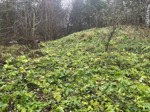 Участок в Московская область, Луховицы муниципальный округ, д. Берхино ...
