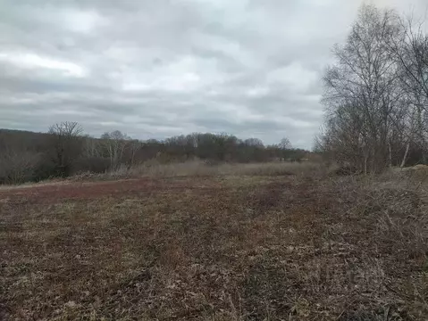 Участок в Белгородская область, Белгородский район, Головинское с/пос, ...