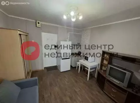 Квартира-студия: Тюмень, улица Котовского, 13 (13 м)