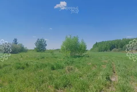 Участок в Московская область, Богородский городской округ, д. Старые ...