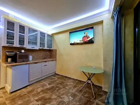 Студия Краснодарский край, Сочи Курортный просп., 96Гк1 (18.9 м)