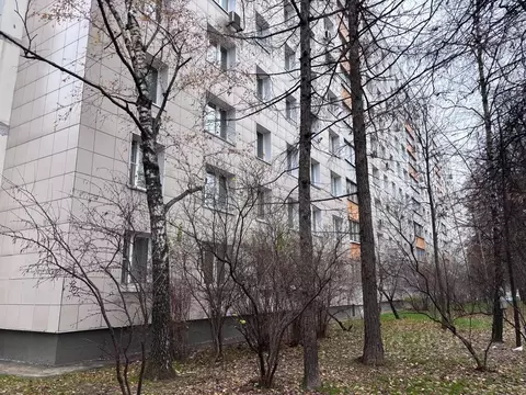 Студия Москва Россошанская ул., 3К1 (19.0 м)