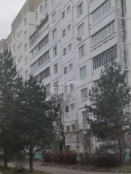 2-к кв. Ивановская область, Иваново ТЭЦ-3 мкр, 17А (48.0 м)