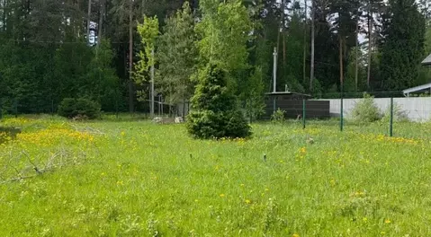 Участок в Московская область, Щелково городской округ, пос. Литвиново ...