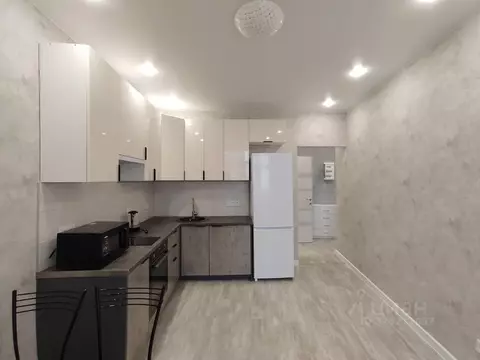 1-к кв. Санкт-Петербург пер. Ипподромный, 1к3 (40.0 м)