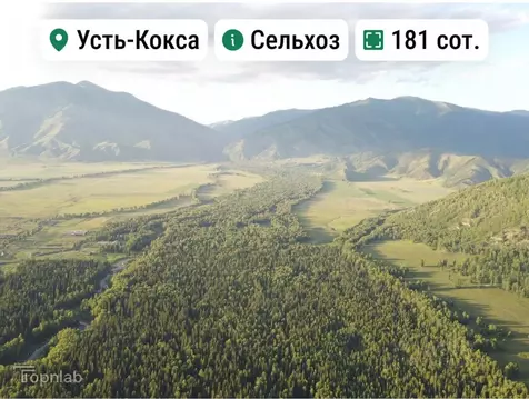 Участок в Алтай, Усть-Коксинский район, с. Усть-Кокса  (181.0 сот.)