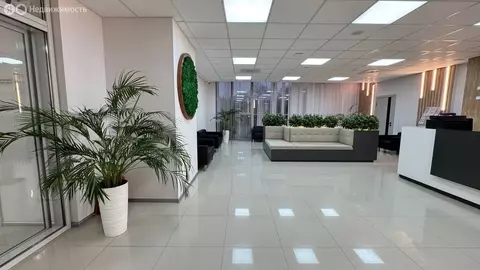 Офис (1516.2 м)