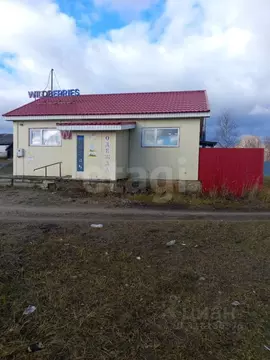 Помещение свободного назначения в Мордовия, Теньгушевский район, пос. ...