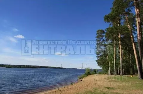 Участок в Смоленская область, Смоленский муниципальный округ, д. Борок ...