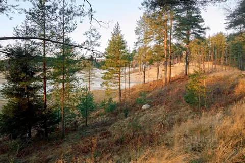 Участок в Ленинградская область, Всеволожский район, Бугровское ...