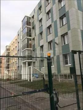 Студия Ленинградская область, Всеволожский район, пос. Бугры Новая ...