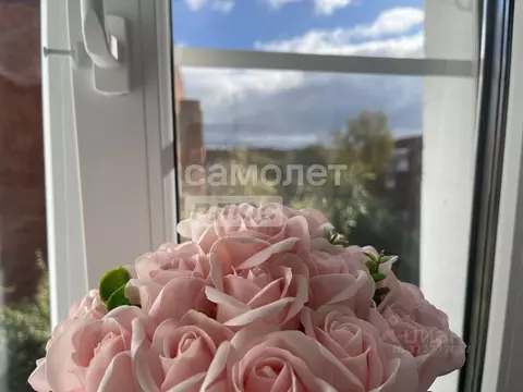 1-к кв. Омская область, Омск просп. Мира, 26Б (28.7 м)