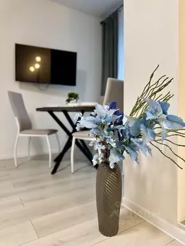 Студия Санкт-Петербург бул. Головнина, 6к1 (29.0 м)