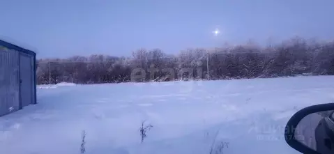 Участок в Ленинградская область, Ломоносовский район, Виллозское ...