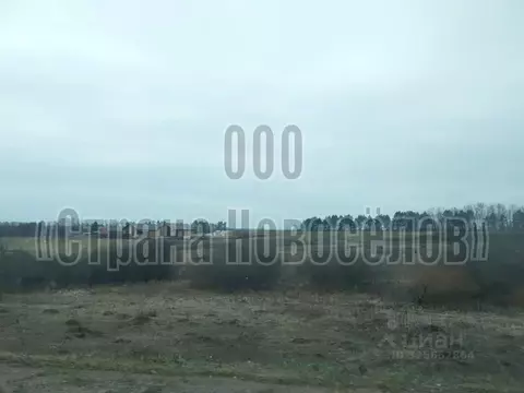 Участок в Мордовия, Лямбирский район, Пензятское с/пос, с. Пензятка ...