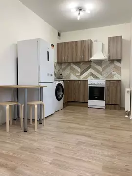 Студия Санкт-Петербург дор. Муринская, 12к1 (20.0 м)