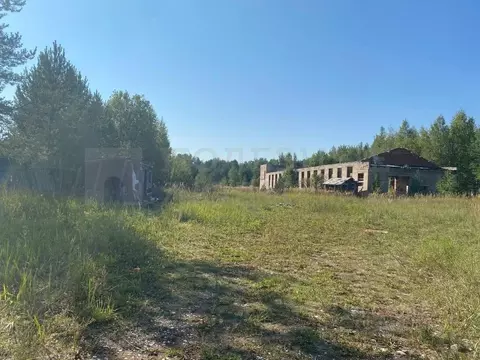 Участок в Новгородская область, Хвойная рп ул. Советская (67.3 сот.)