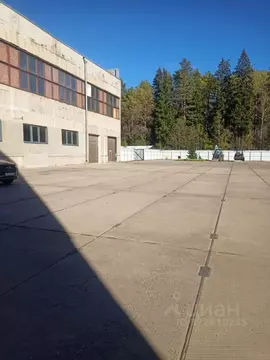 Производственное помещение в Ленинградская область, Тосненский район, ...