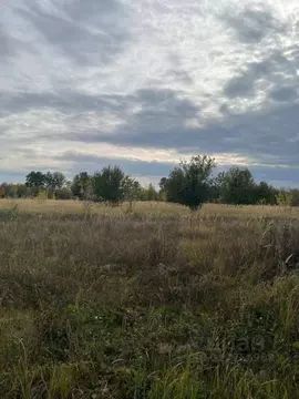 Участок в Татарстан, Лаишевский район, Рождественское с/пос, д. ...