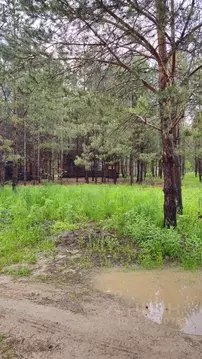 Участок в Татарстан, Лаишевский район, Орловское с/пос, д. Орел ул. ...