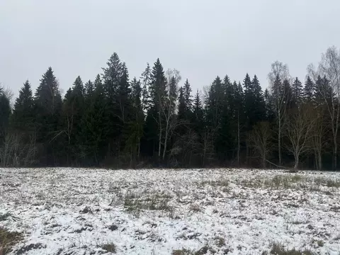 Участок в Московская область, Истра муниципальный округ, д. Давыдково  ...