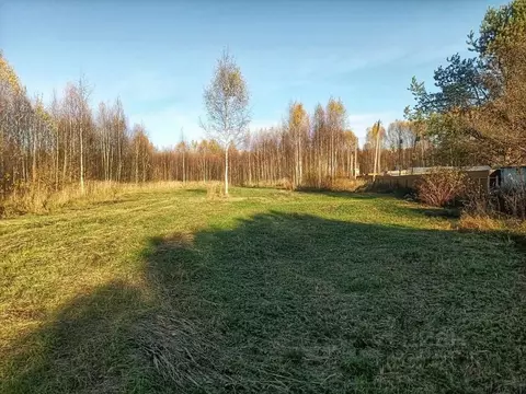 Участок в Тверская область, Зубцовский муниципальный округ, д. ...