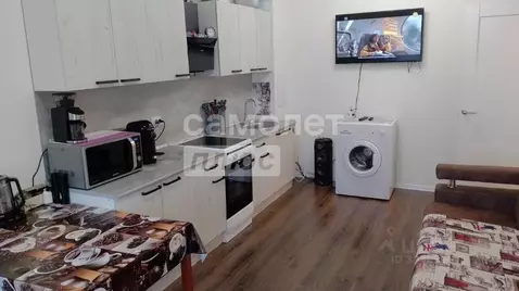 1-к кв. Санкт-Петербург дор. Муринская, 11к1 (33.2 м)