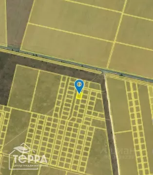 Участок в Крым, Сакский район, Штормовское с/пос, с. Поповка  (6.0 ...