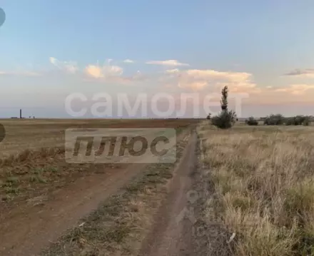 Участок в Крым, Сакский район, Молочненское с/пос, с. Витино  (6.36 ...