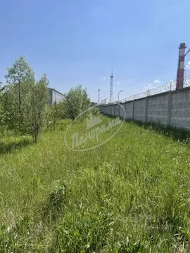 Участок в Калужская область, Калуга Московская ул., 286 (22.0 сот.)