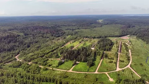 Участок в Ленинградская область, Приозерский район, Раздольевское ...