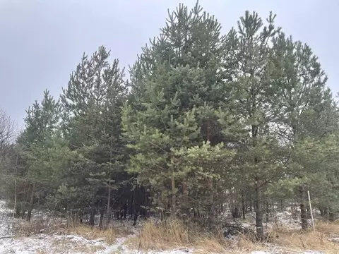 Участок в Московская область, Павлово-Посадский городской округ, с. ...