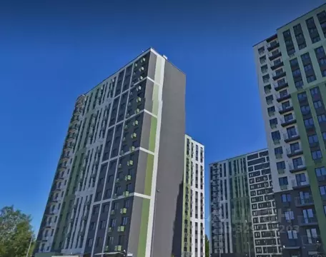 Студия Ленинградская область, Всеволожское городское поселение, пос. ...