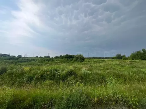 Участок в Татарстан, Зеленодольский район, Бишнинское с/пос, с. Бишня  ...