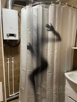 1-к кв. Ленинградская область, Выборг Ленинградский просп., 4 (30.0 м)