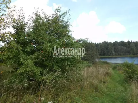 Участок в Новгородская область, Валдайский район, Яжелбицкое с/пос, д. ...