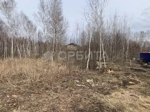 Участок в Тюменская область, Нижнетавдинский район, Здоровье-2 СНТ  ...