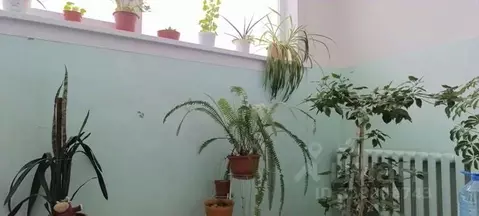 1-к кв. Новосибирская область, Бердск Советская ул., 64 (38.0 м)