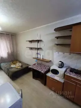 Студия Красноярский край, Красноярск ул. Курчатова, 12 (18.0 м)