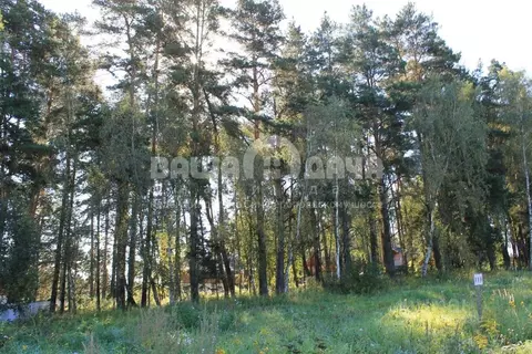 Участок в Тульская область, Заокский район, Малаховское с/пос, ...