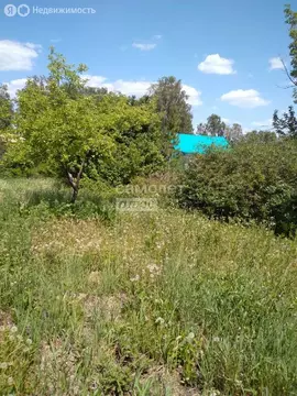 Дом в Копейск, СНТ Птицевод-1 (30 м)