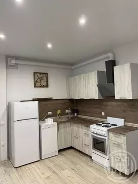 1-к кв. Санкт-Петербург Зеленогорская ул., 7 (60.0 м)