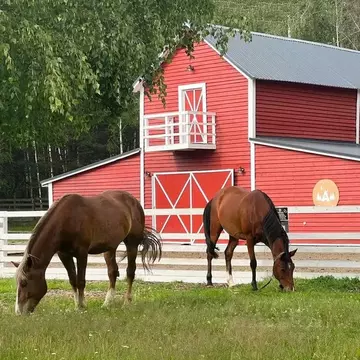 Дом в Московская область, Орехово-Зуевский городской округ, д. ...