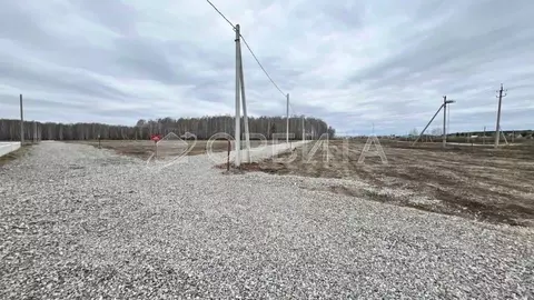 Участок в Свердловская область, Тугулымский муниципальный округ, с. ...