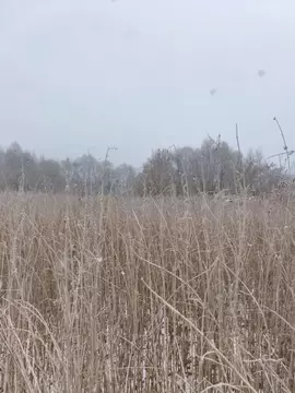 Участок в Московская область, Шатура  (15.01 сот.)