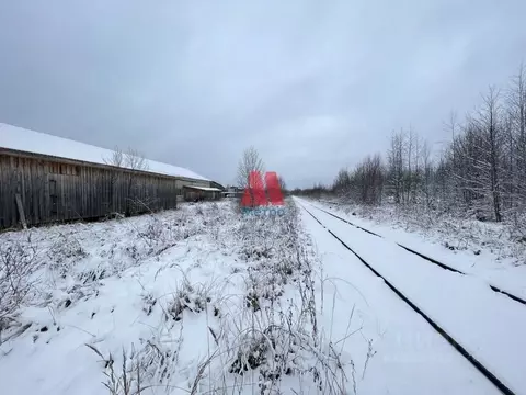 Производственное помещение в Ярославская область, Первомайский ...
